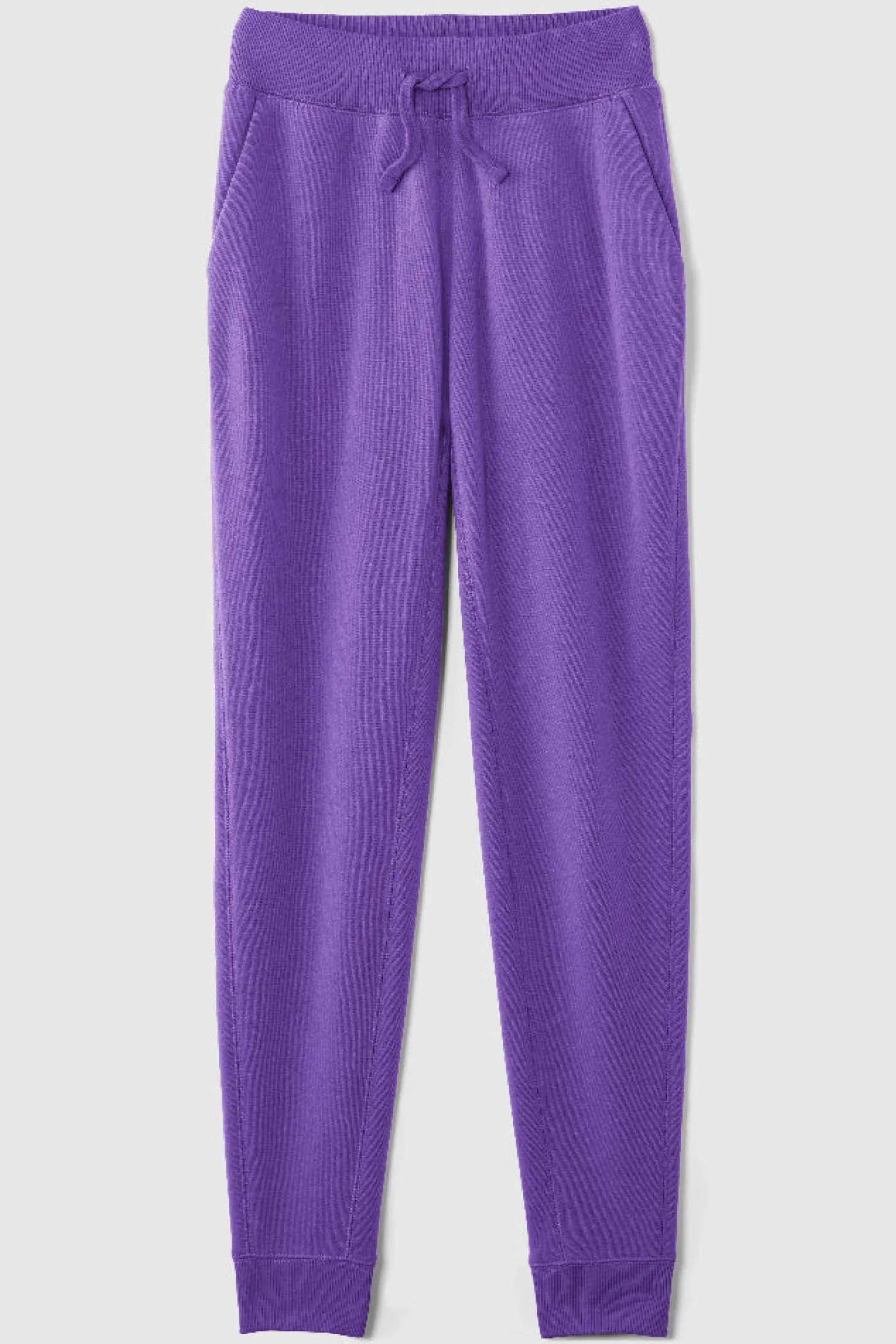 FWD Women's All Year Jogger